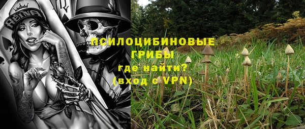 шишки Алексеевка