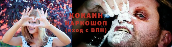 тгк Лиски