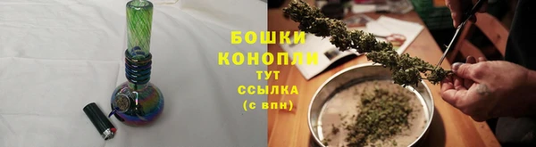 тгк Лиски