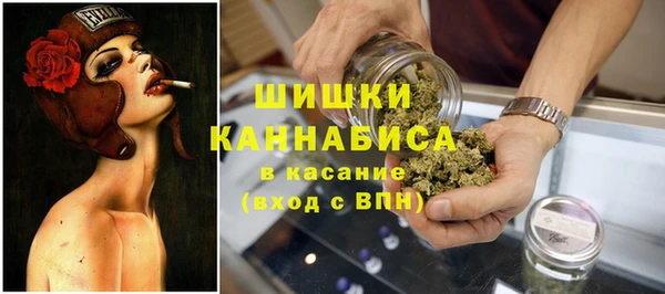 Альфа ПВП Аркадак